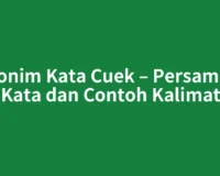 Sinonim Kata Cuek – Persamaan Kata dan Contoh Kalimat