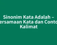 Sinonim Kata Adalah – Persamaan Kata dan Contoh Kalimat