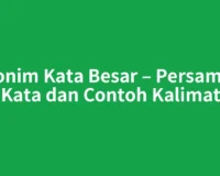 Sinonim Kata Besar – Persamaan Kata dan Contoh Kalimat