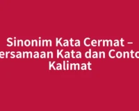 Sinonim Kata Cermat – Persamaan Kata dan Contoh Kalimat
