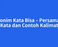Sinonim Kata Bisa – Persamaan Kata dan Contoh Kalimat