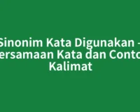 Sinonim Kata Digunakan – Persamaan Kata dan Contoh Kalimat