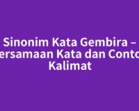 Sinonim Kata Gembira – Persamaan Kata dan Contoh Kalimat