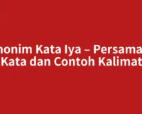 Sinonim Kata Iya – Persamaan Kata dan Contoh Kalimat