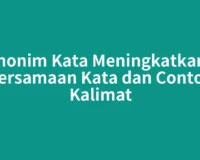 Sinonim Kata Meningkatkan – Persamaan Kata dan Contoh Kalimat