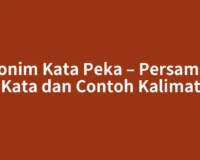 Sinonim Kata Peka – Persamaan Kata dan Contoh Kalimat