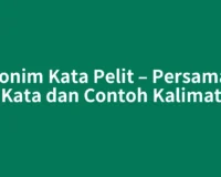 Sinonim Kata Pelit – Persamaan Kata dan Contoh Kalimat