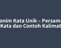 Sinonim Kata Unik – Persamaan Kata dan Contoh Kalimat
