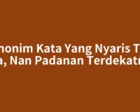 Sinonim Kata Yang Nyaris Tak Ada, Nan Padanan Terdekatnya