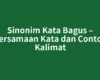 Sinonim Kata Bagus – Persamaan Kata dan Contoh Kalimat