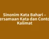 Sinonim Kata Bahari – Persamaan Kata dan Contoh Kalimat