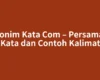 Sinonim Kata Com – Persamaan Kata dan Contoh Kalimat