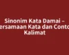 Sinonim Kata Damai – Persamaan Kata dan Contoh Kalimat