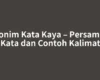 Sinonim Kata Kaya – Persamaan Kata dan Contoh Kalimat