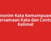 Sinonim Kata Kemampuan – Persamaan Kata dan Contoh Kalimat