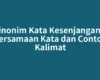 Sinonim Kata Kesenjangan – Persamaan Kata dan Contoh Kalimat