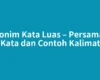 Sinonim Kata Luas – Persamaan Kata dan Contoh Kalimat