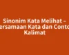 Sinonim Kata Melihat – Persamaan Kata dan Contoh Kalimat