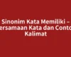 Sinonim Kata Memiliki – Persamaan Kata dan Contoh Kalimat
