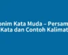Sinonim Kata Muda – Persamaan Kata dan Contoh Kalimat