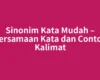 Sinonim Kata Mudah – Persamaan Kata dan Contoh Kalimat