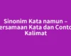 Sinonim Kata namun – Persamaan Kata dan Contoh Kalimat