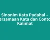 Sinonim Kata Padahal – Persamaan Kata dan Contoh Kalimat