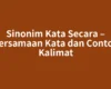 Sinonim Kata Secara – Persamaan Kata dan Contoh Kalimat