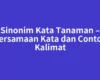 Sinonim Kata Tanaman – Persamaan Kata dan Contoh Kalimat