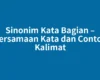 Sinonim Kata Bagian – Persamaan Kata dan Contoh Kalimat