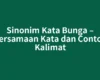 Sinonim Kata Bunga – Persamaan Kata dan Contoh Kalimat