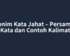 Sinonim Kata Jahat – Persamaan Kata dan Contoh Kalimat