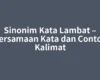 Sinonim Kata Lambat – Persamaan Kata dan Contoh Kalimat
