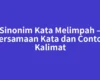 Sinonim Kata Melimpah – Persamaan Kata dan Contoh Kalimat