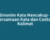 Sinonim Kata Mencakup – Persamaan Kata dan Contoh Kalimat