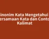 Sinonim Kata Mengetahui – Persamaan Kata dan Contoh Kalimat