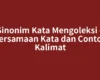 Sinonim Kata Mengoleksi – Persamaan Kata dan Contoh Kalimat