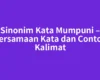 Sinonim Kata Mumpuni – Persamaan Kata dan Contoh Kalimat