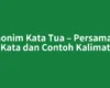Sinonim Kata Tua – Persamaan Kata dan Contoh Kalimat